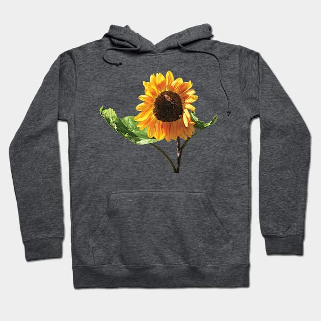 Sunflower in Sunshine Hoodie by SusanSavad